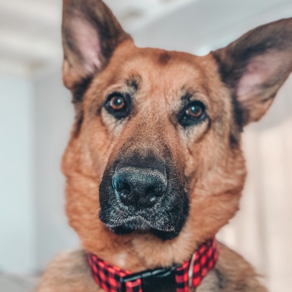 Hi! - Picture 3 of 5